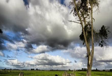 欧洲杯夺目：球迷瞩目强队之间交锋盛况！