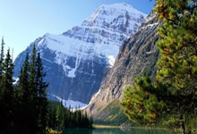 委内瑞拉队在比赛中大获全胜：激情、实力与奇迹的一夜