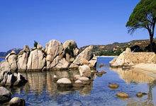 河南男篮外援努尔兹苏进入状态，助球队获胜